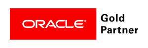 Oracle ERP Partners