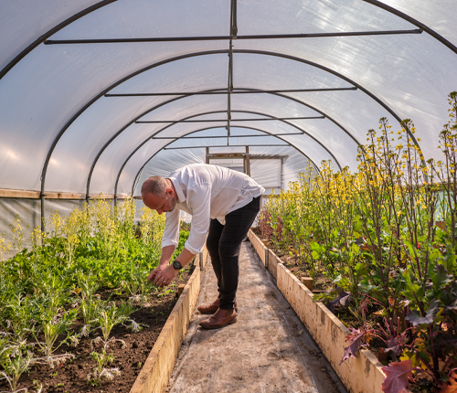 Sage Intacct Success Story - Simon Rogan