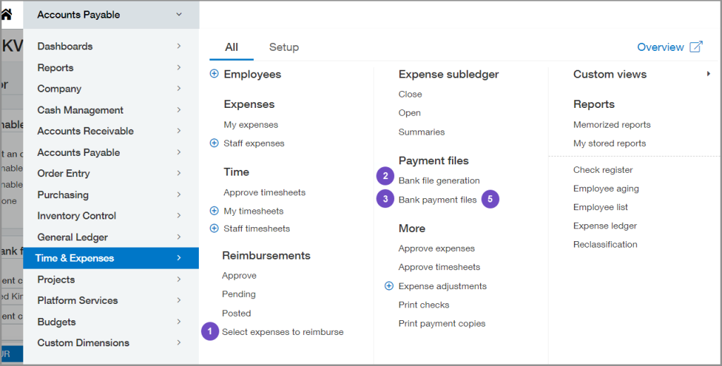 Time & Expenses Bank File Payments