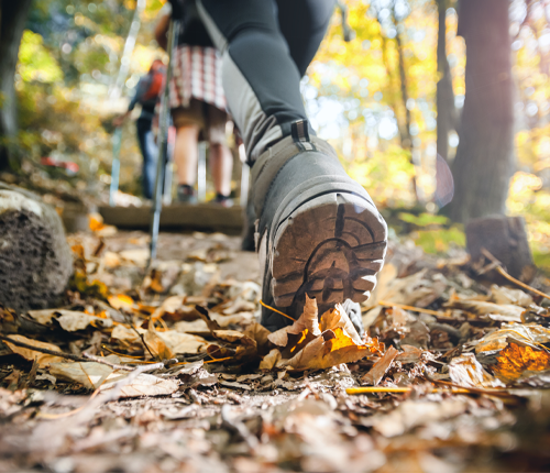 Percipient Fundraising