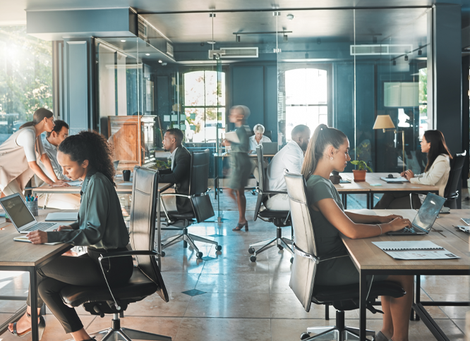 Accounting Software for Growing SMEs
